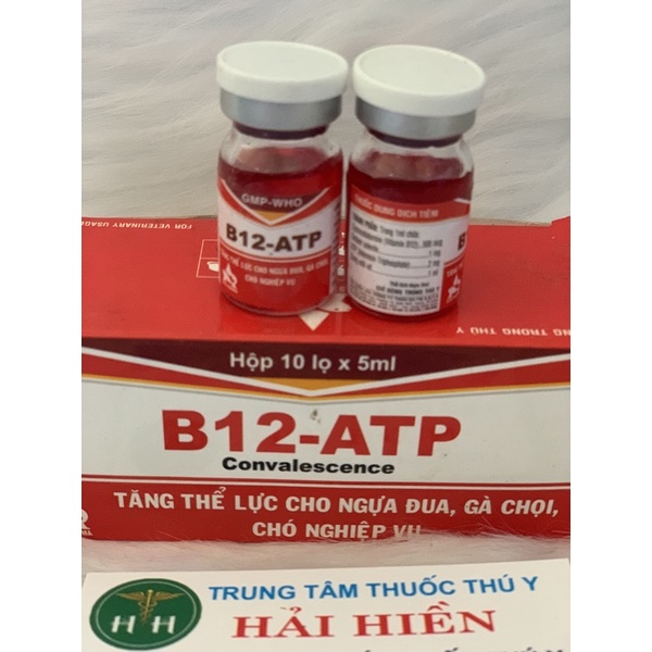 5ml B12 - ATP - tăng thể lực cho ngựa đua, gà chọi, chó nghiệp vụ