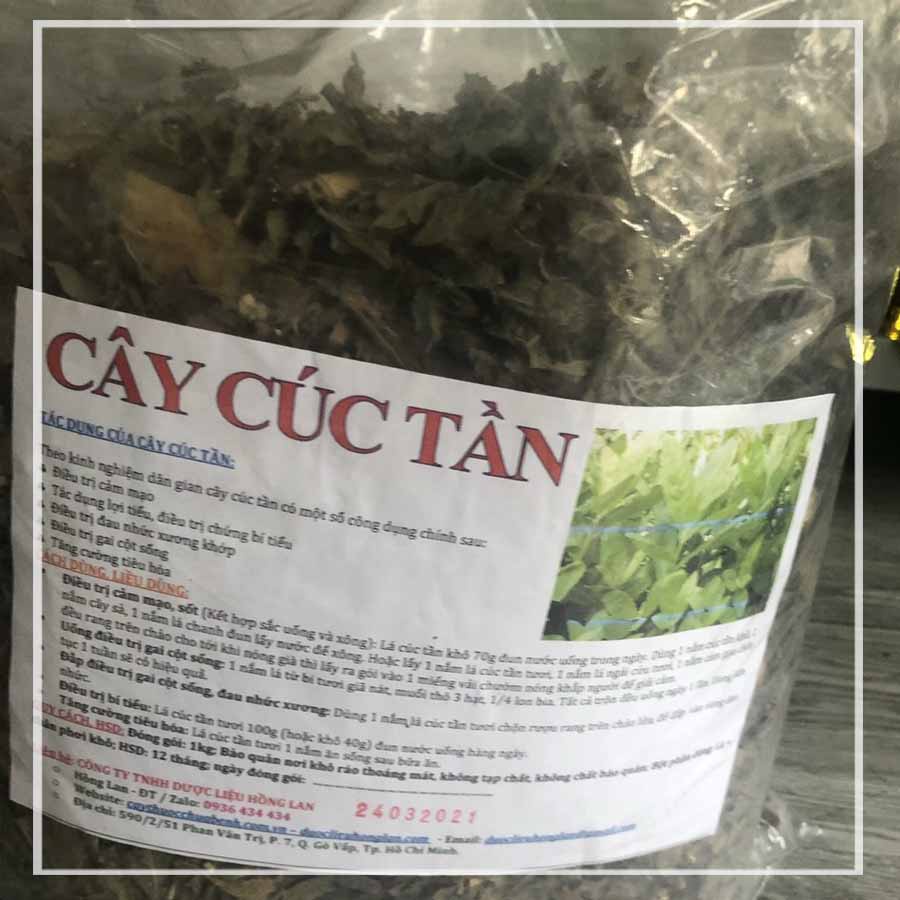 Thảo dược CÂY TÚC TẦN (ĐẠI BI, TỪ BI) khô sạch đóng gói 500gram