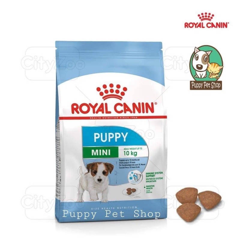 RoyaCanin Mini Junior - Thức ăn cho chó con dòng mini từ 4-12tháng tuổi