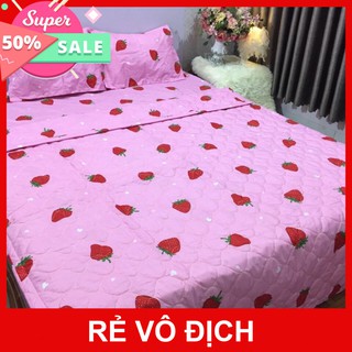 [GIẢM SỐC] SÉT 5 MÓN CHĂN GA GỐI POLY KÈM CHĂN HÈ TRẦN BÔNG DÀY DẶN đầy đủ kích thước 1m2,1m6,1m8,2m2