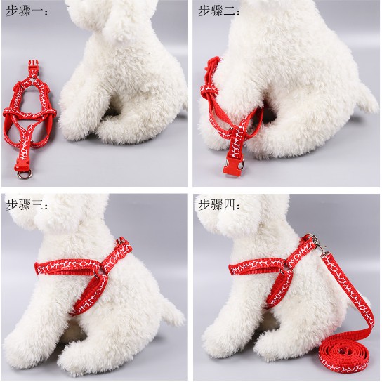 dây dắt chó mèo kèm yếm hoa văn