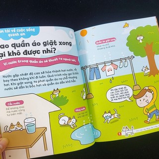 Sách - Combo Gi Gỉ Gì Gi cái gì cũng biết(NN)