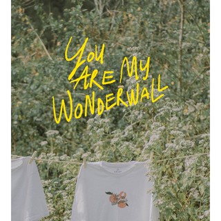 Áo thun trắng cotton 🍄 You are my wonderwall 🍄
