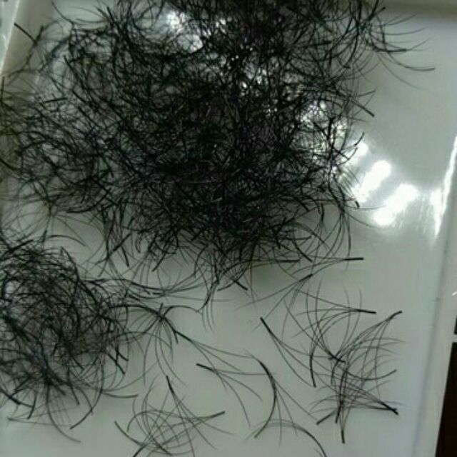 Fan Mi 3D tạo sẵn