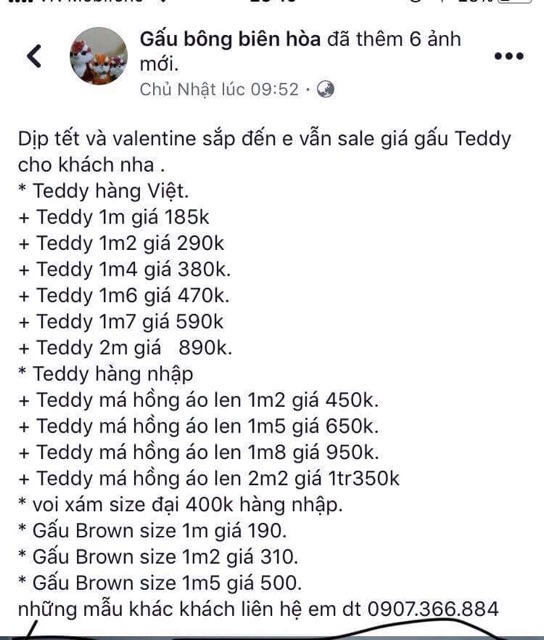 Gấu bông teddy giá sỉ