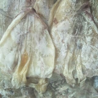 40 con mực khô nha trang y giá Chỉ 195 k