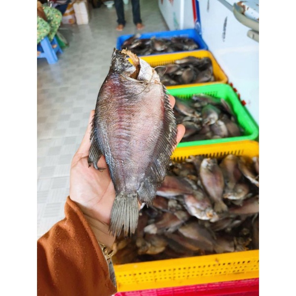 Khô cá sặc rằn Cà Mau 16con/ki