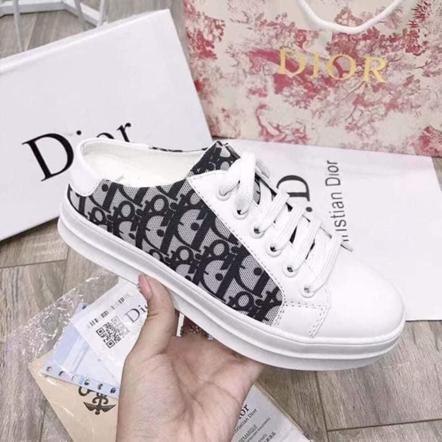 Sục giày dior