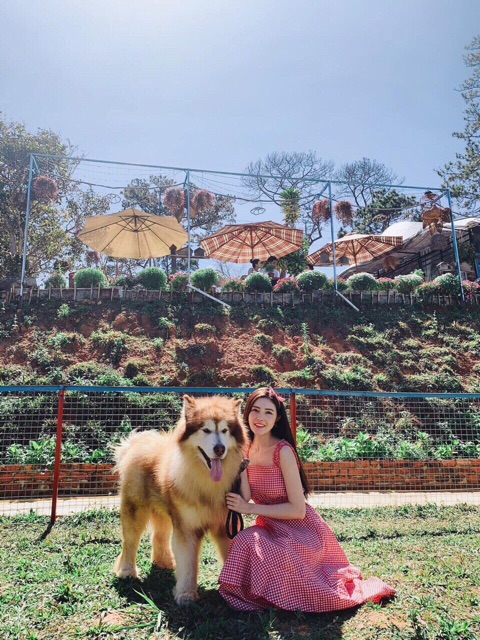 ⚡️FLASH SALE⚡️-VÁY MAXI THÔ CÁNH TIÊN CÓ SẴN | BigBuy360 - bigbuy360.vn