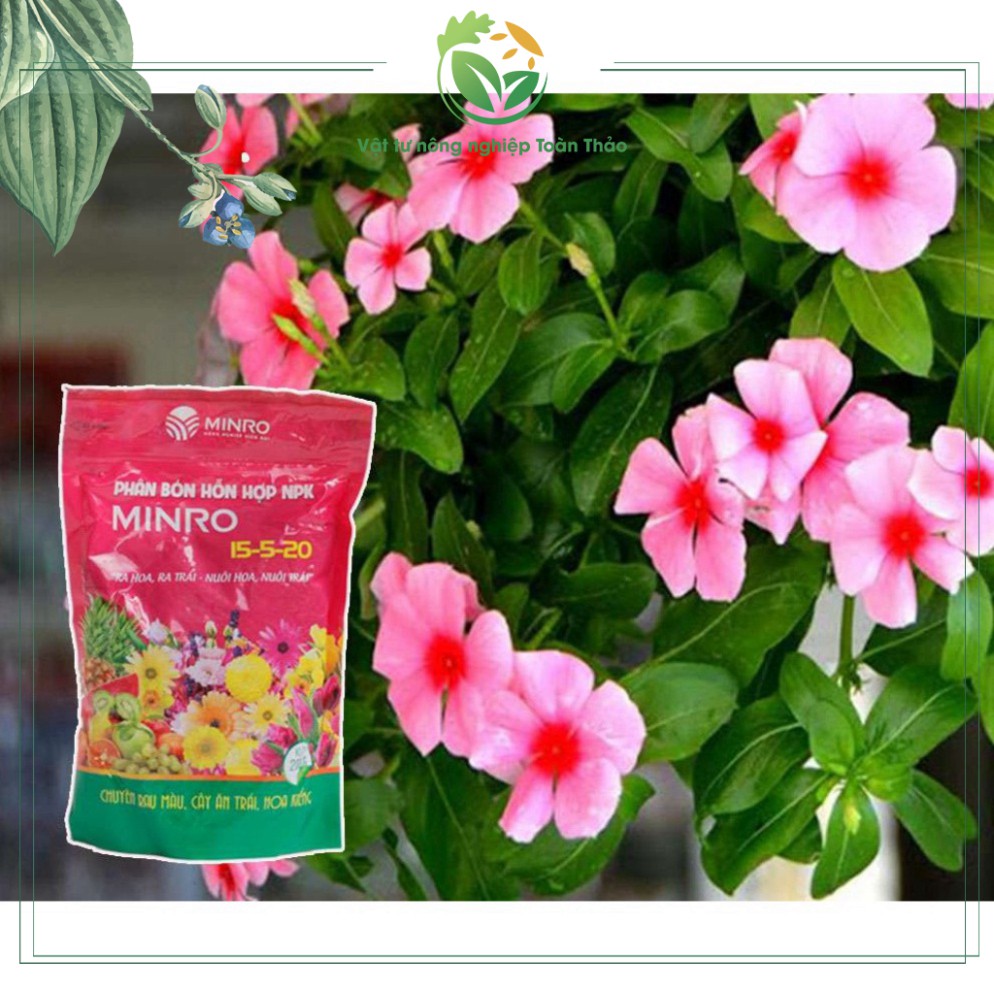 Phân Bón NPK tím Kích Thích Ra Hoa, Ra Trái Nhanh - Nuôi Hoa, Nuôi Trái MINRO 15-5-20