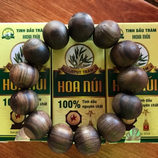 Combo 3 lọ TINH DẦU TRÀM HOA NÚI