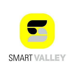 Smart Valley_Official_Store