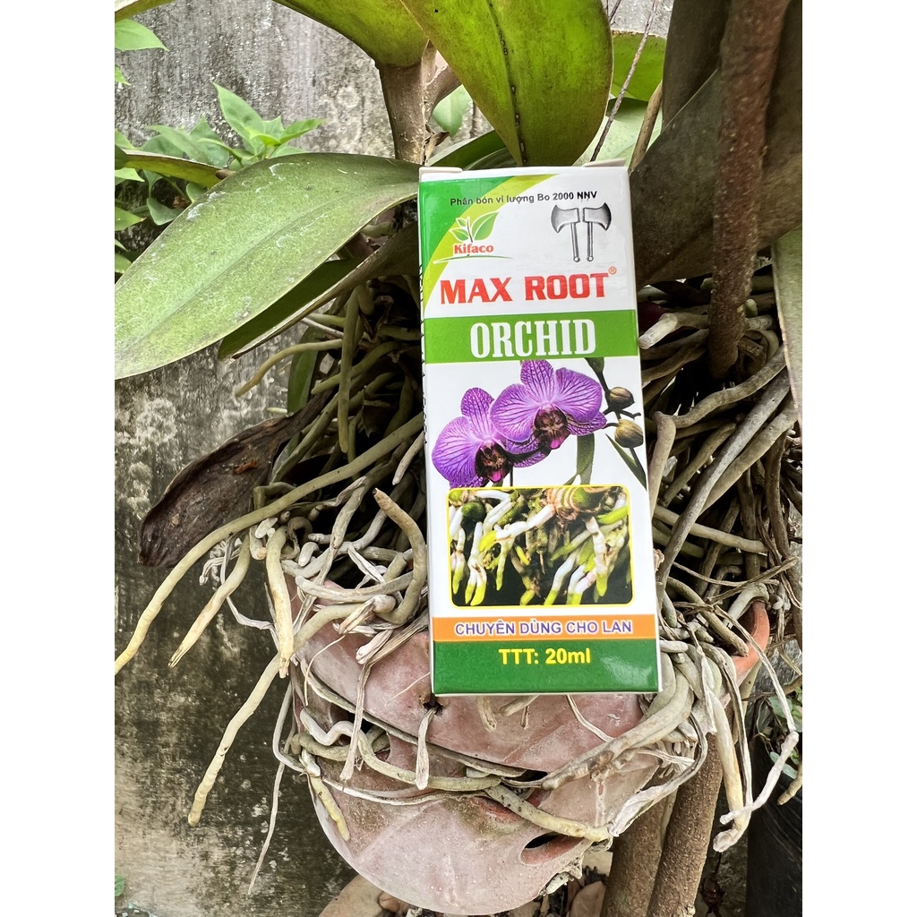 Phân Bón Kích Rễ Chuyên Dùng Cho Lan Orchid Chai 20ml