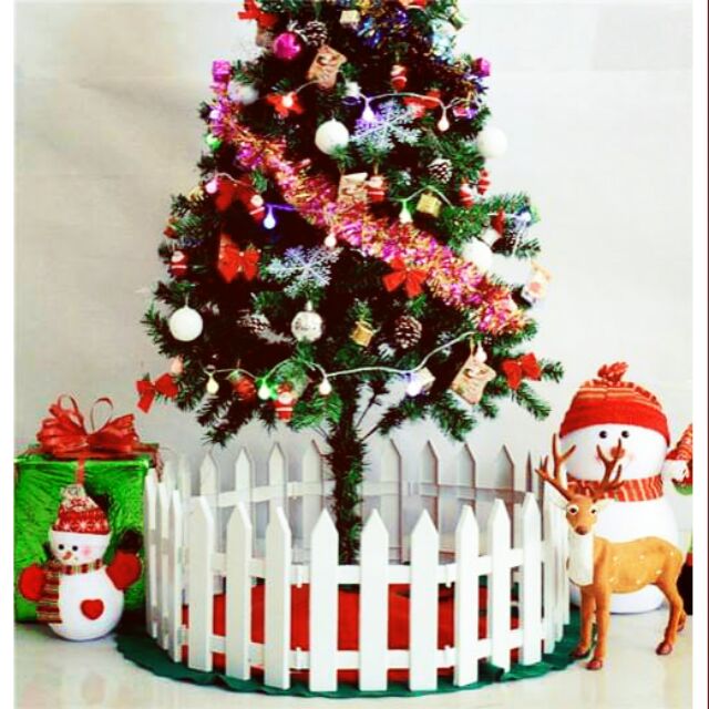Hàng rào cây thông noel