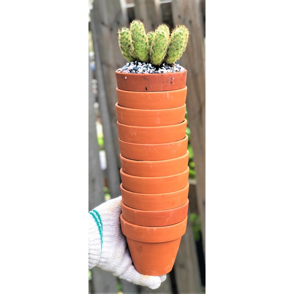 Bộ 10 chậu đất nung trồng xương rồng sen đá Rộng 11 cm x Cao 9,5 cm