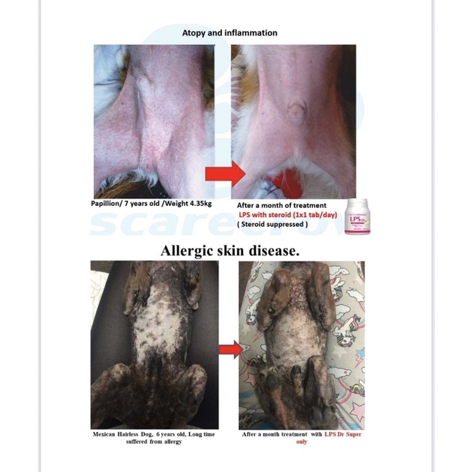 Viên Hỗ trợ điều trị về da lông + Tăng cường miễn dịch tự nhiên LPS Dr Super