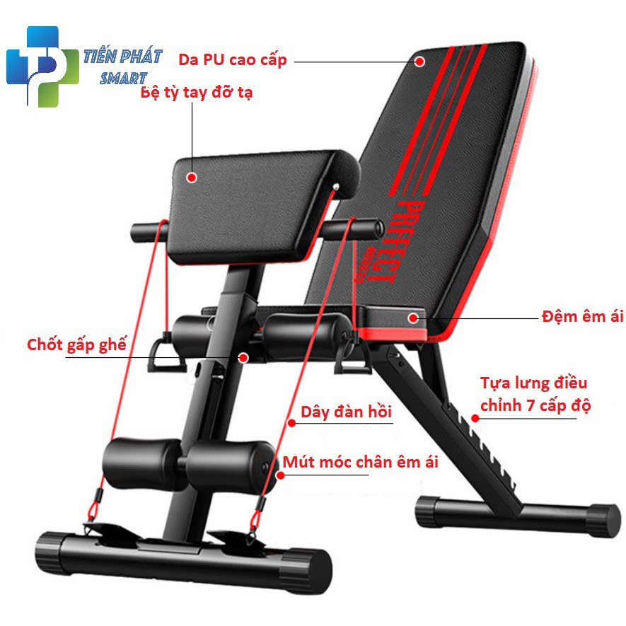 Ghế Tập Gym, Tập Tạ Đa Năng Hỗ Trợ Tập Cơ Tay, Bắp Tay, Cơ Bụng P189 Tienphatsmart( Bảo Hành 12 Tháng)