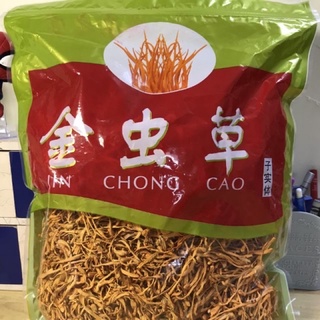 Bông đông trùng hạ thảo/ nấm kim trùng thảo gói 100g