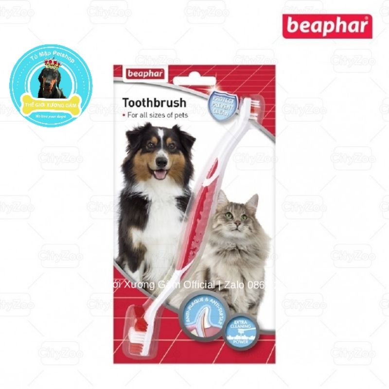 [AUTHENTIC] BEAPHAR TOOTHBRUSH BÀN CHẢI ĐÁNH RĂNG HAI ĐẦU CHO CHÓ MÈO