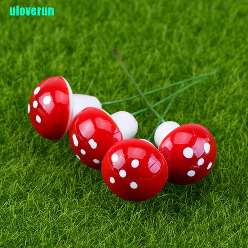 Cây Nấm Mini Trang Trí Sân Vườn Xinh Xắn