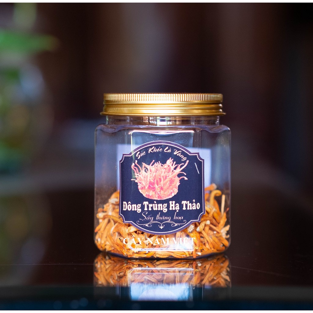 10g Đông Trùng Hạ Thảo khô sấy thăng hoa loại vụn - Cây Nấm Việt | BigBuy360 - bigbuy360.vn