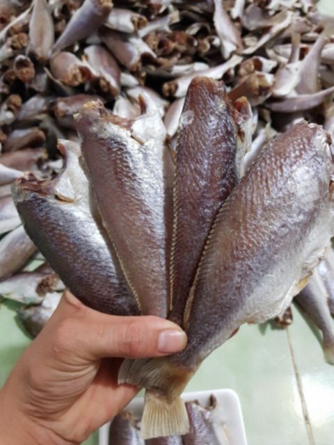 Khô cá lù đù 1 nắng Cà Mau