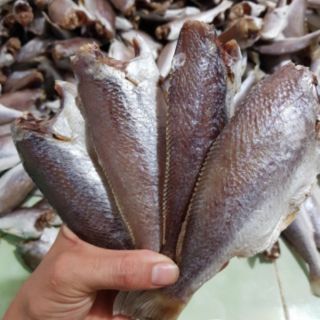 Khô cá đù 1 nắng Cà Mau dai ngon, thơm thịt Bếp ngon và sạch (500g)