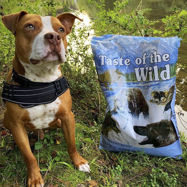 [Nhập Khẩu USA] Thức Ăn Cho Chó Bully Taste Of The Wild Bao 2kg -  Pacific Stream Cá Hồi Xông Khói, Rau Củ Quả