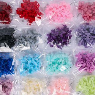 Set hoa cẩm tú cầu khô làm resin làm tranh hoa hoặc ứng dụng nail( shop đóng theo lọ 1gram)