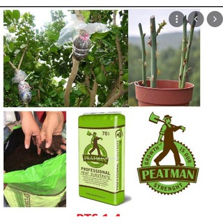 Đất Hữu Cơ Peatman ( Peat Moss) Chuyên Dùng Ươm Hạt Giống bao 70 lít (17-17.5kg)