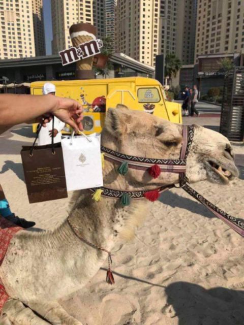 Tinh dầu kẹp xe, treo tủ dubai Royal xách tay aut 100% | BigBuy360 - bigbuy360.vn