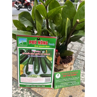Hạt giống bí ngồi xanh hàn quốc f1 gói 2gr hiệu phú nông