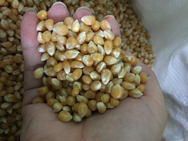 Bắp hạt-200gr
