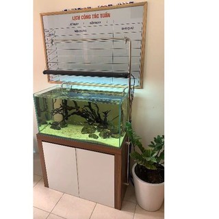 Giá treo đèn bắt đầu hồi bể