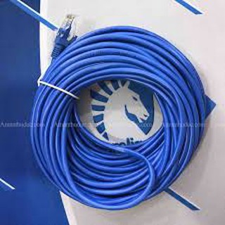 Dây mạng bấm sẵn 30m