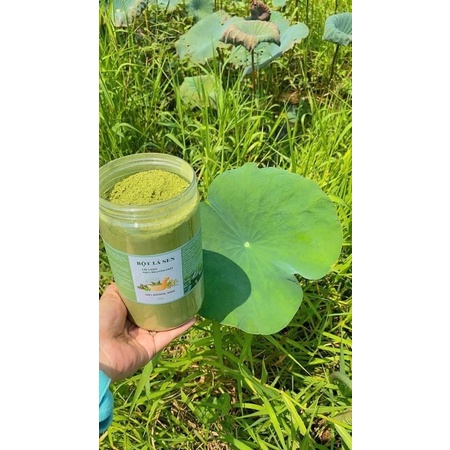 Siêu phẩm 1 hộp Bột lá sen 500gr cực nguyên chất