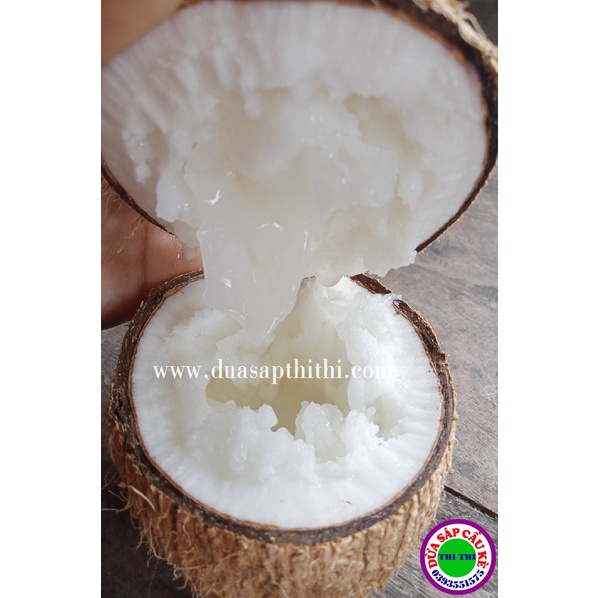 Dừa Sáp Bi Đặc
