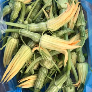 10h - HẠT GIỐNG BÍ NỤ