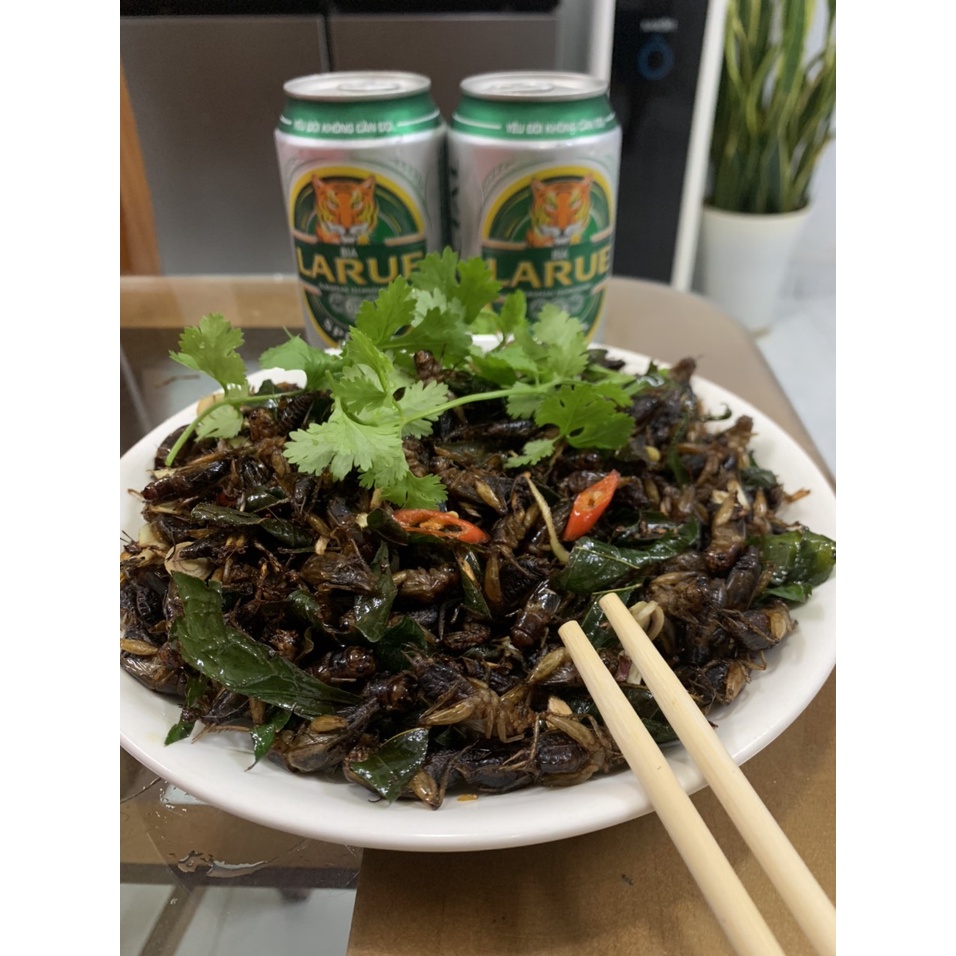 Trứng dế mèn thái vàng