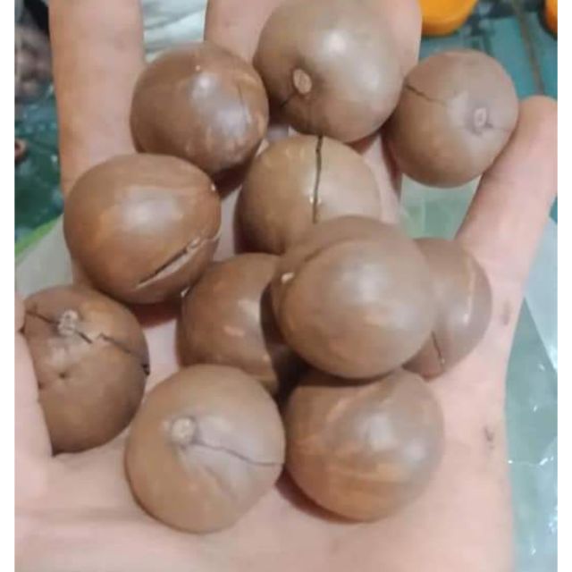 Com bo 5 kg Măc Ca sấy nứt - Đăk Lăk