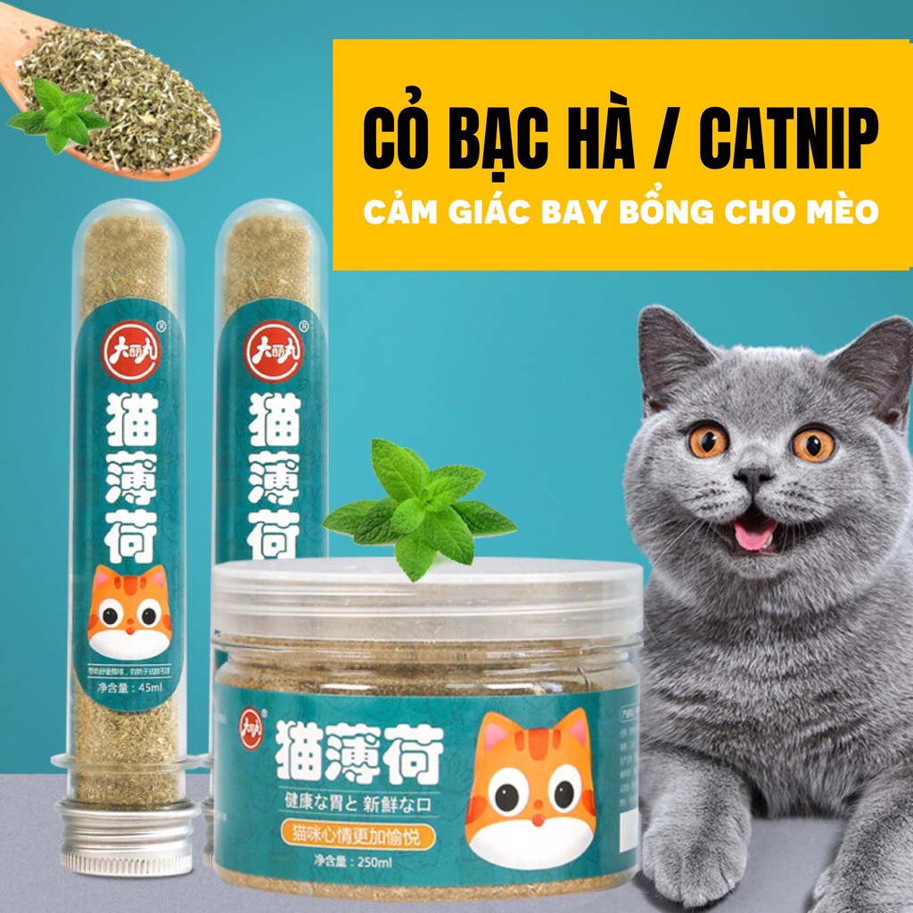 [HÀ NỘI] Phê như con tê tê - Cỏ bạc hà Catnip tuýp 50ml tăng cường chất xơ ,vitamin tiêu hóa lông mèo