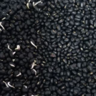 (500g) ĐỖ ĐEN RANG XANH LÒNG HẠ THỔ