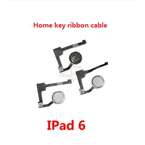 Máy Quét Vân Tay Cảm Ứng Vân Tay Cho ipad 5 6 air 2017 2018