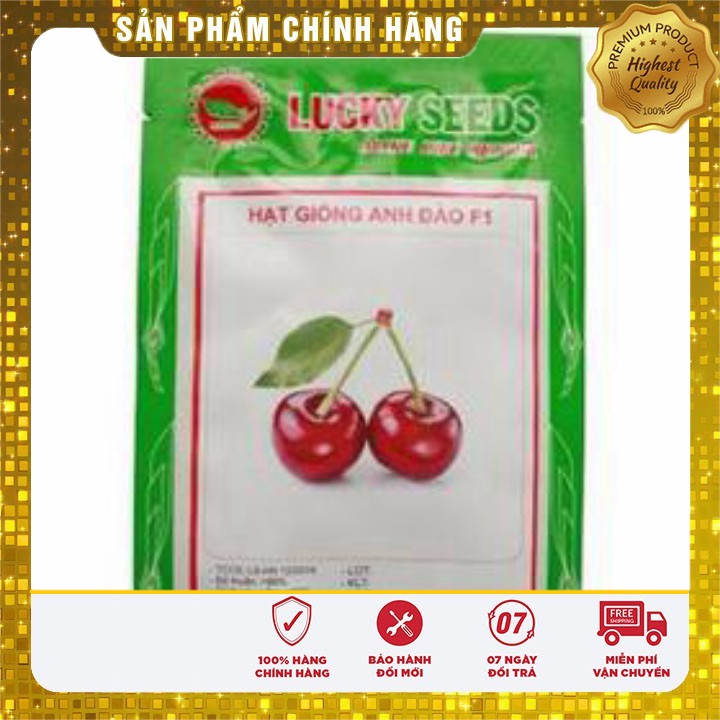 Hạt giống quả anh đào cherry gói 10 hạt hat giong anh dao