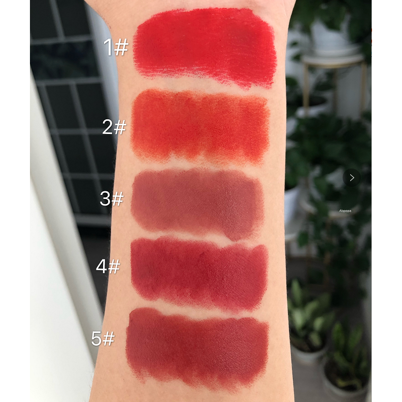 (Hàng Mới Về) Son Môi Vongee Chất Nhung Lì Lâu Trôi Dưỡng Ẩm | BigBuy360 - bigbuy360.vn