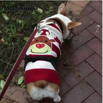 Áo Len Giữ Ấm Dùng Cho Thú Cưng Trong Dịp Giáng Sinh