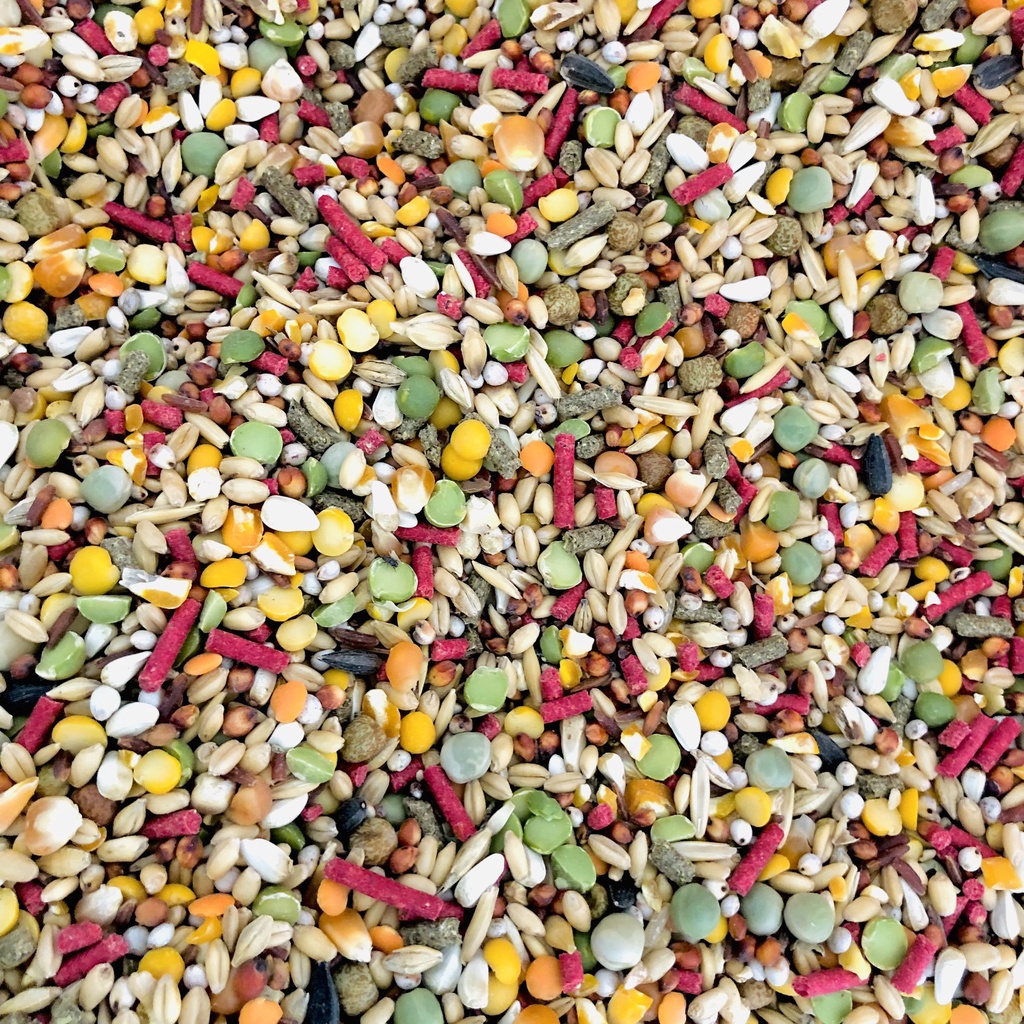 Ngũ cốc gà đá Javan One 1kg, thức ăn yêu thích cho chiến kê, thức ăn cơ bản cho Hamster