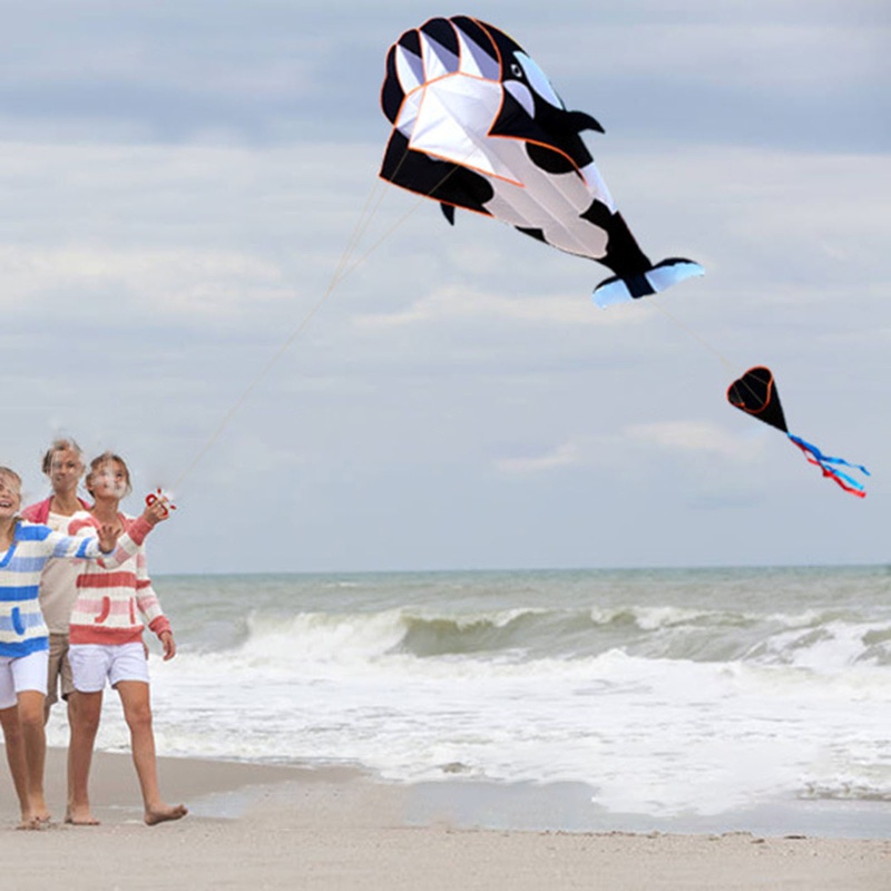 Diều Hình Cá Voi Khổng Lồ Giúp Giảm Căng Thẳng