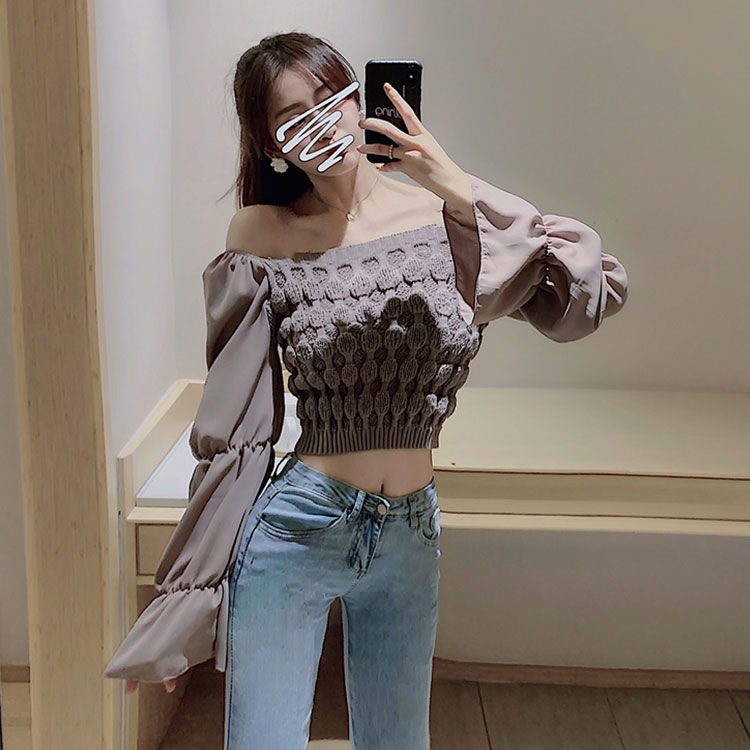 Áo Sơ Mi Chiffon Tay Dài Giả Hai Lớp Thời Trang Dành Cho Nữ