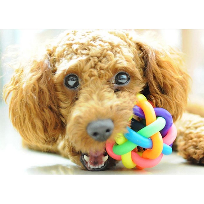 Bóng Gặm Cho Cún 7 Màu Size 5.8